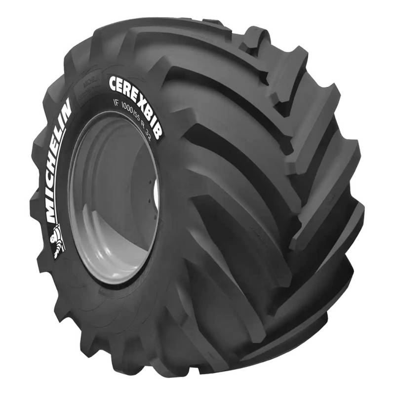 CereXbib CFO 